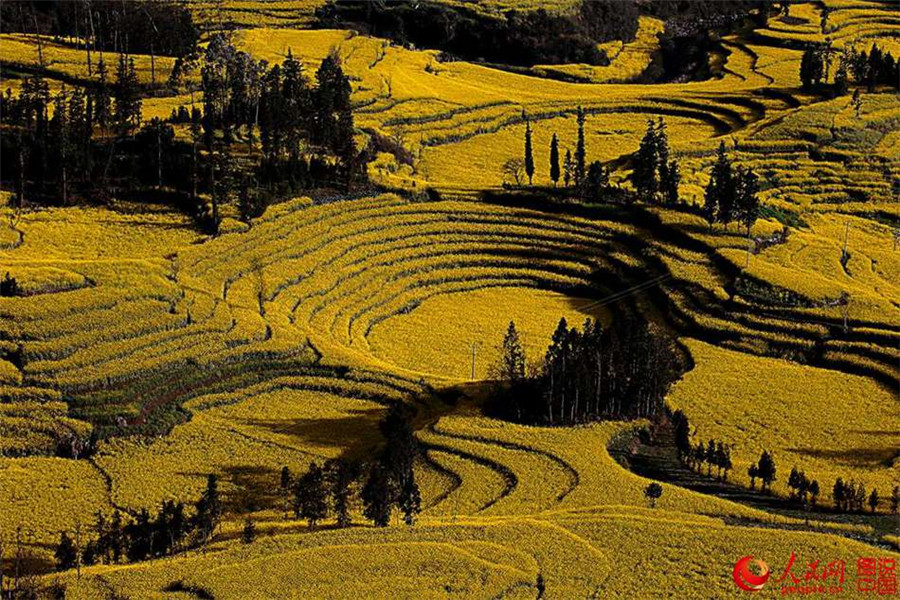 Magnificent view of Hani terraced fields in SW China