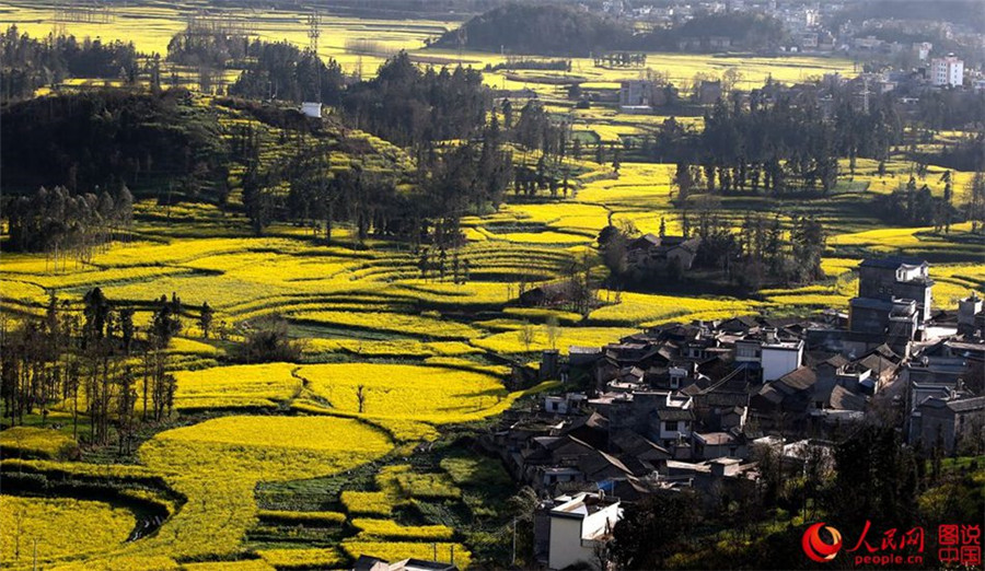 Magnificent view of Hani terraced fields in SW China