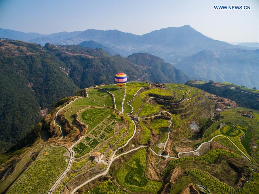 Scenery of cole blossoms in terraced fields, E China