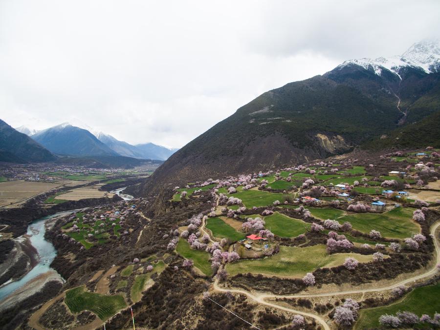 Spring scenery of Tibet