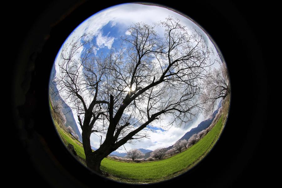 Spring scenery of Tibet