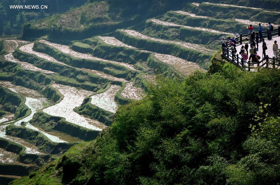 China perfects art of building terraced fields