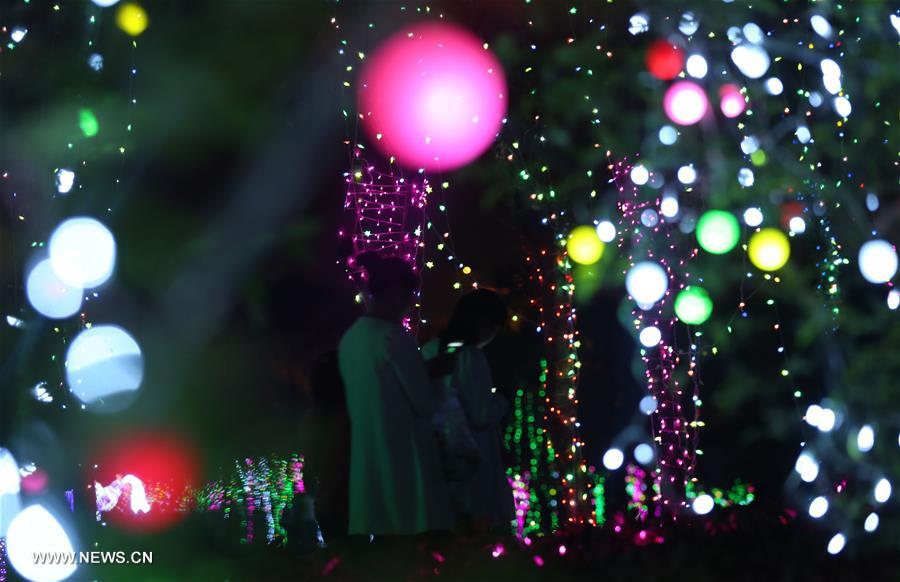 Tourists view colorful lights at light festival in E China's Nantong