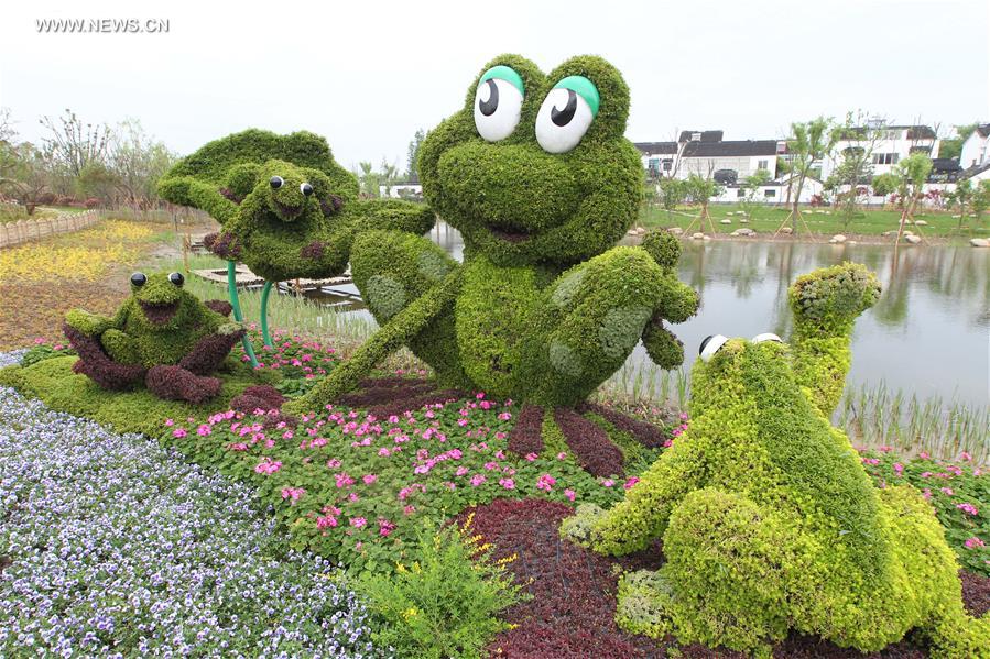 9th Horticultural Expo of Jiangsu province opens in Suzhou