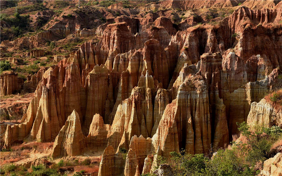 Incredible scenery of earth forest in China's Yunnan