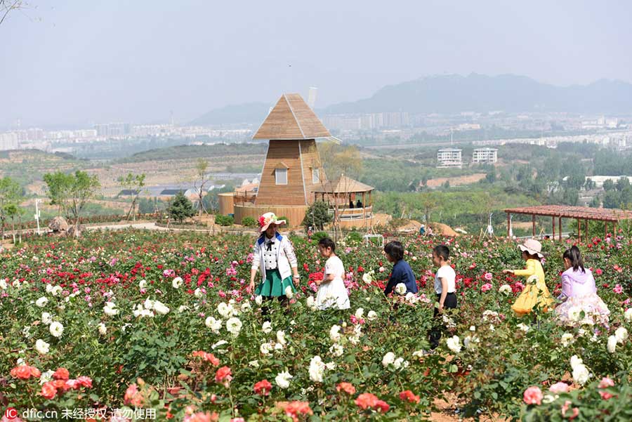 Rose garden opens to visitors in Beijing suburbs