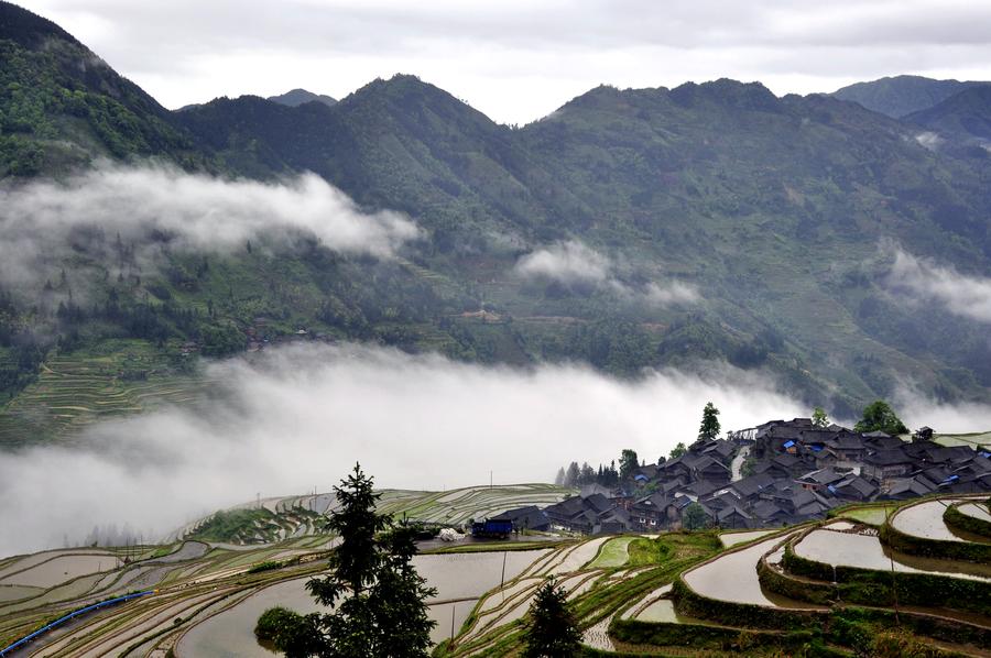 Terraces shrouded by morning fog in Southwest China