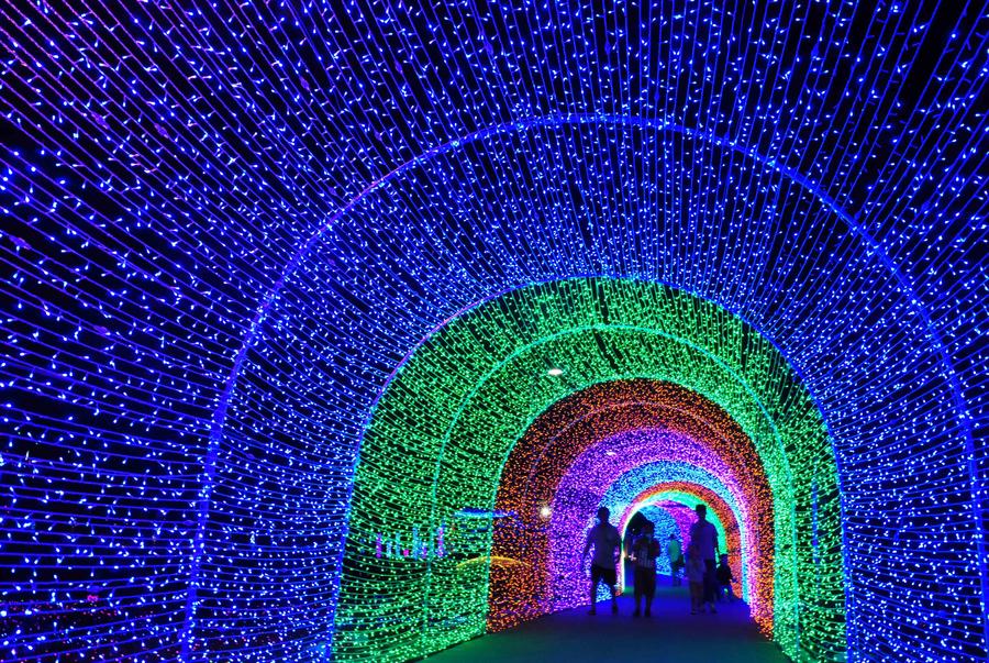 Light festival held at Xi'an Expo Park