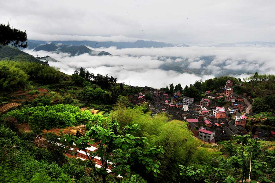 Idyllic beauty of Wuyi, Zhejiang province