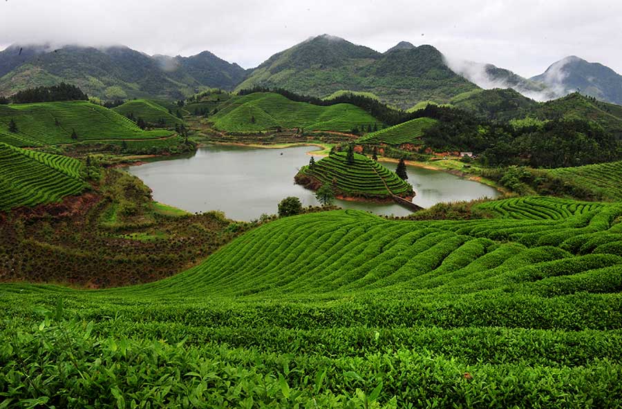 Idyllic beauty of Wuyi, Zhejiang province