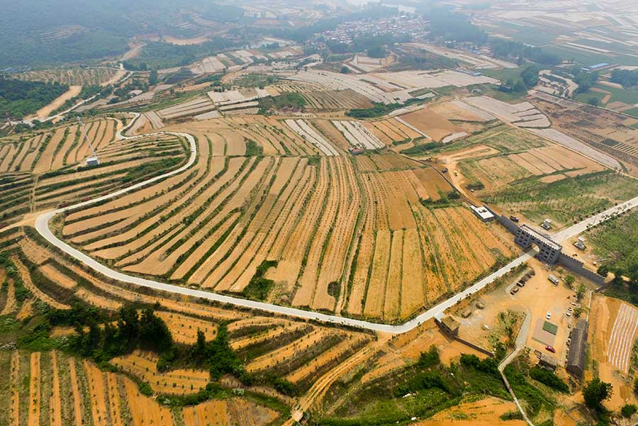 Aerial view of terraced fields in Lianyungang city, E China's Jiangsu