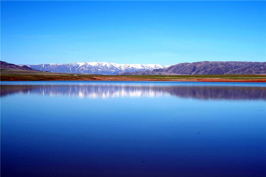 Bloomy Tacheng: A beautiful tourist attraction