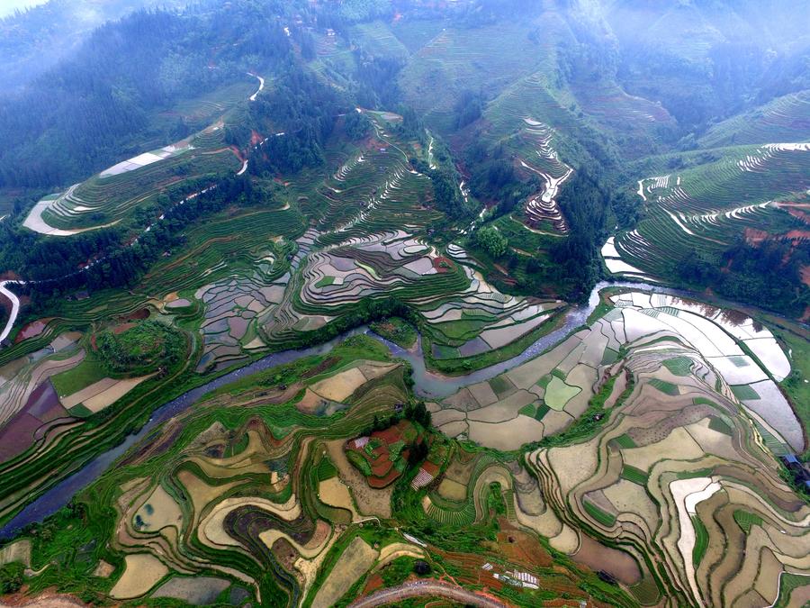 Scenery of terraces in Guizhou