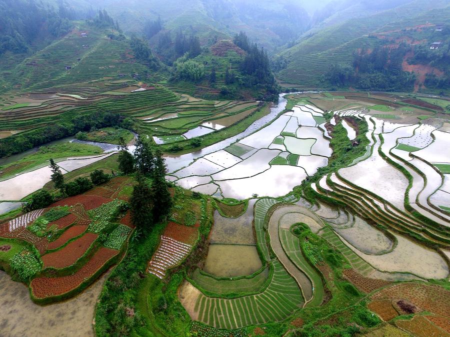 Scenery of terraces in Guizhou