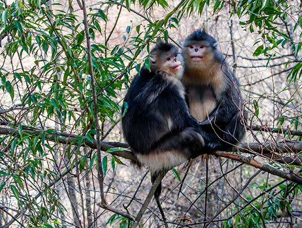 Nation grows nature reserve stock