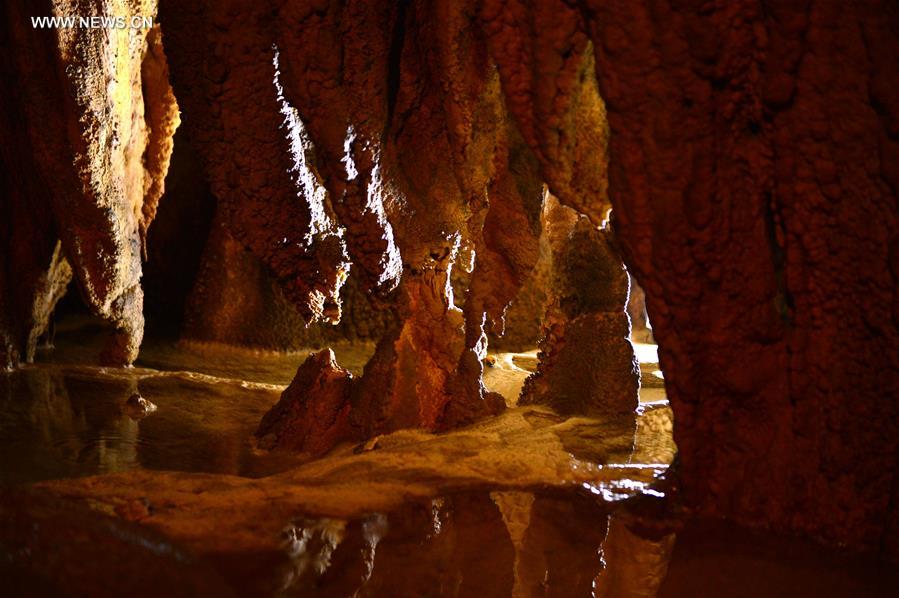 Unique ecosystem preserved in C China's karst cave