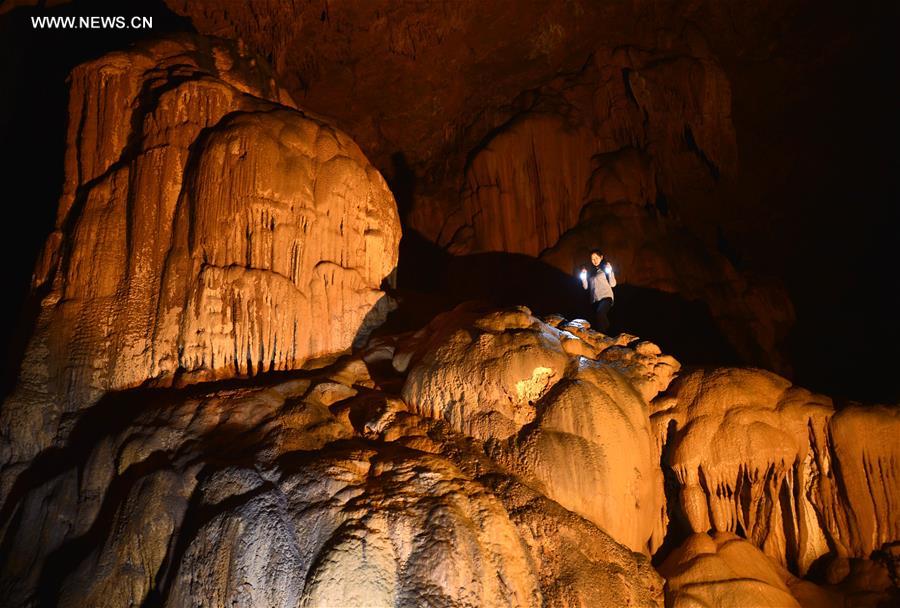 Unique ecosystem preserved in C China's karst cave