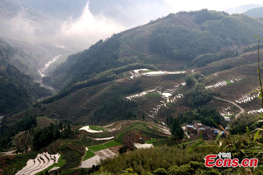 Terraced fields form beautiful landscape in E China town