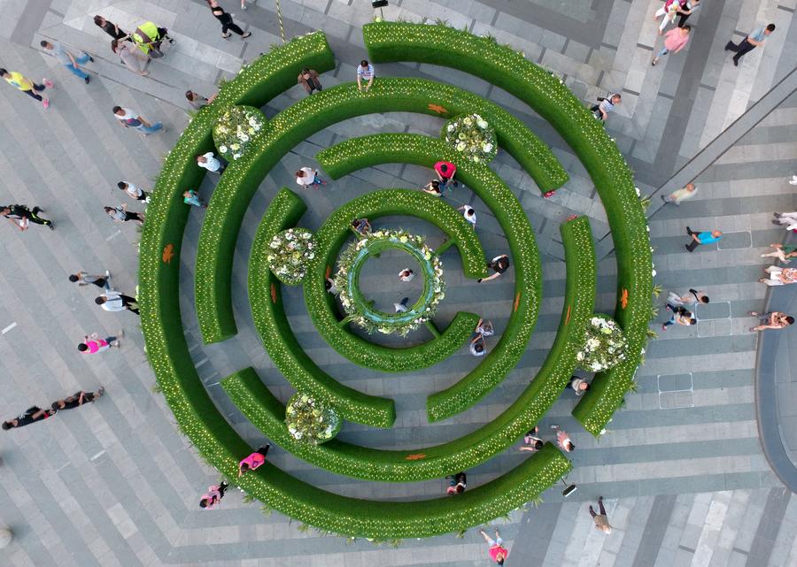 Garden maze built in downtown Shenyang