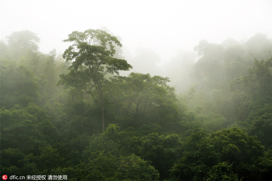 Heavenly beauty in Dongjiang Lake