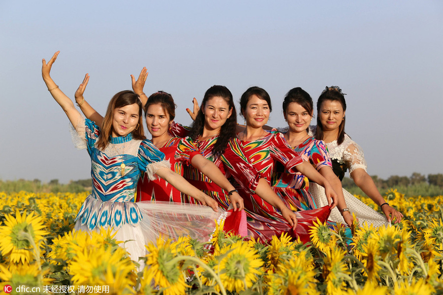 Painter, women and butterfly drawn to blooming sunflowers