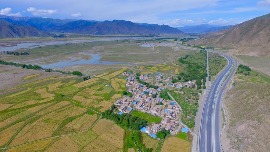 Aerial photos show golden field in valley of Lhasa River