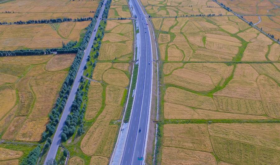 Aerial photos show golden field in valley of Lhasa River