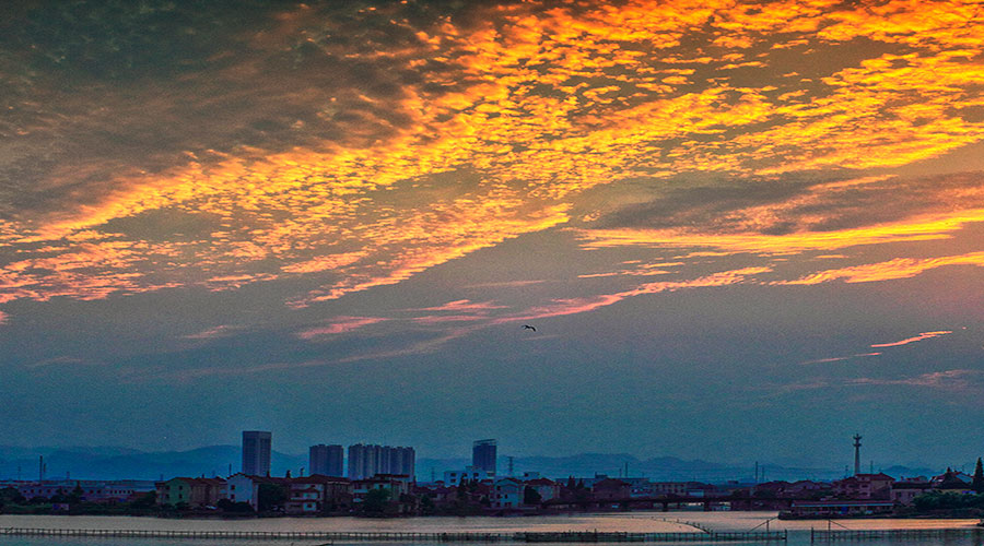 Mesmerizing rosy sunset seen in Jinghu wetland park