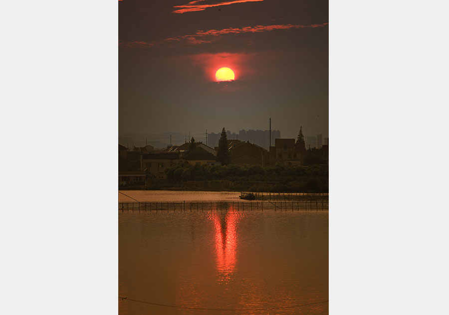 Mesmerizing rosy sunset seen in Jinghu wetland park