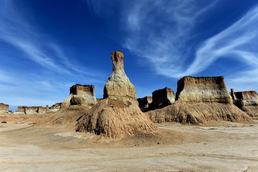 Soil forest in Datong county, N China's Shanxi