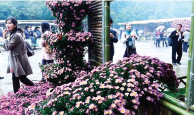 Botanical garden－a colorful treat