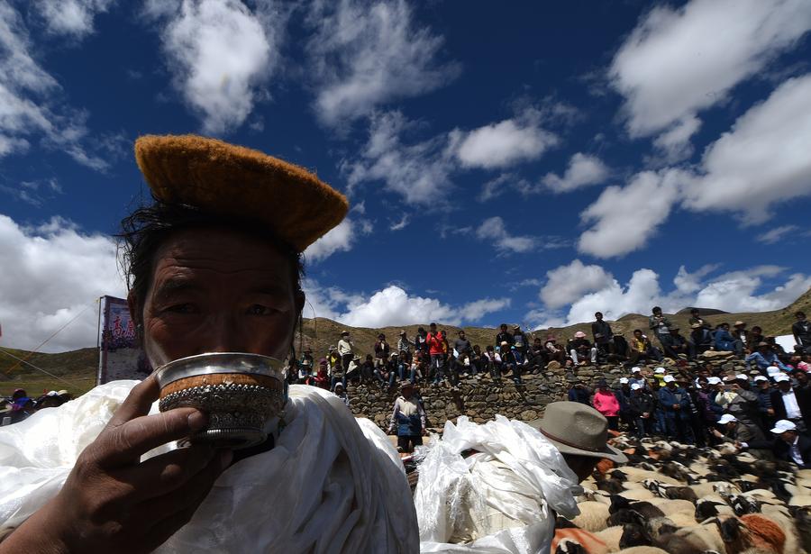 Sheep show held in Tibet