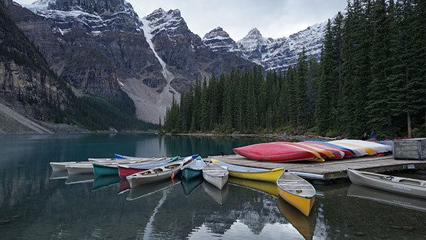 Chinese are answering Canada's call