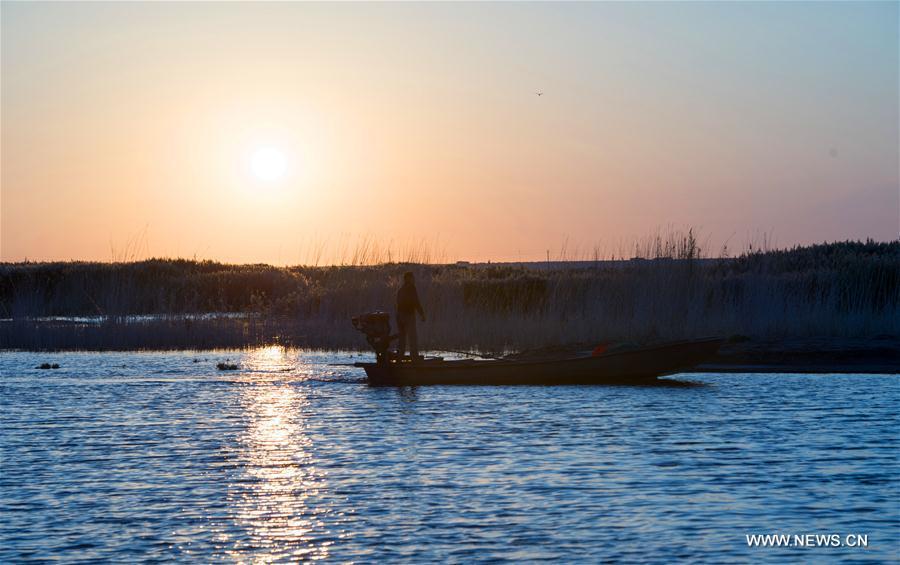 Scenery of Juyanhai Lake in Inner Mongolia