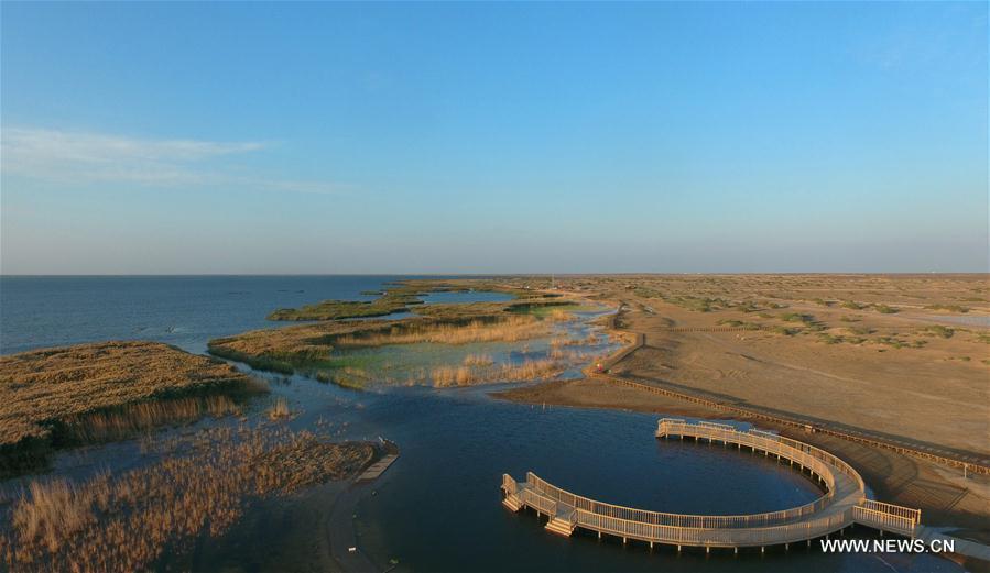 Scenery of Juyanhai Lake in Inner Mongolia