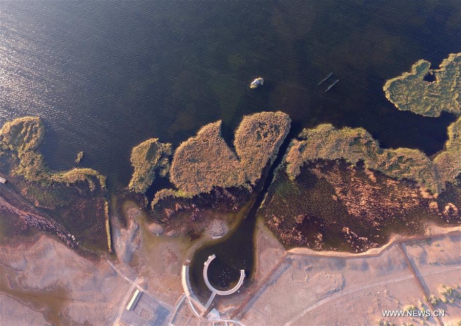 Scenery of Juyanhai Lake in Inner Mongolia