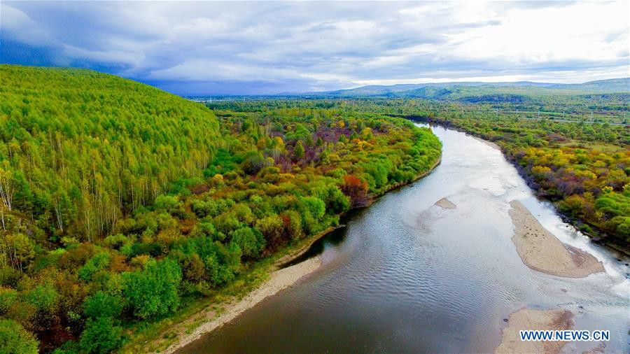 Fantastic scenery in China's Genhe Wetland Park