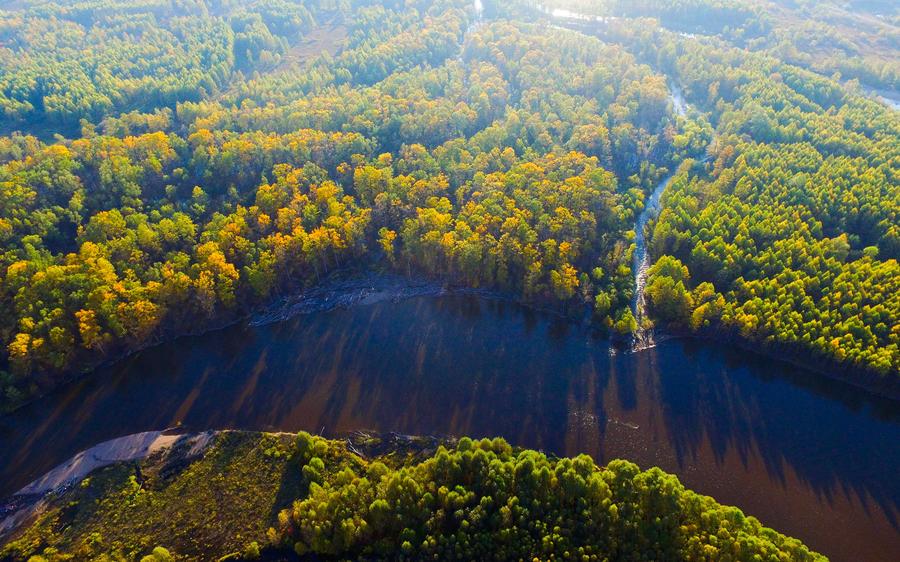 Greater Khingan Range: autumn beauty at its best