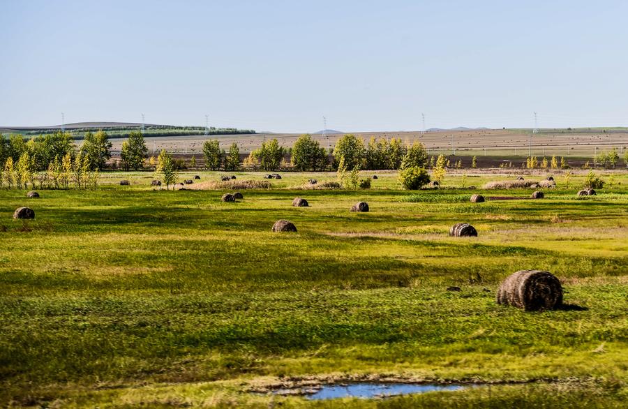 Grassland of Hulun Buir in Inner Mongolia