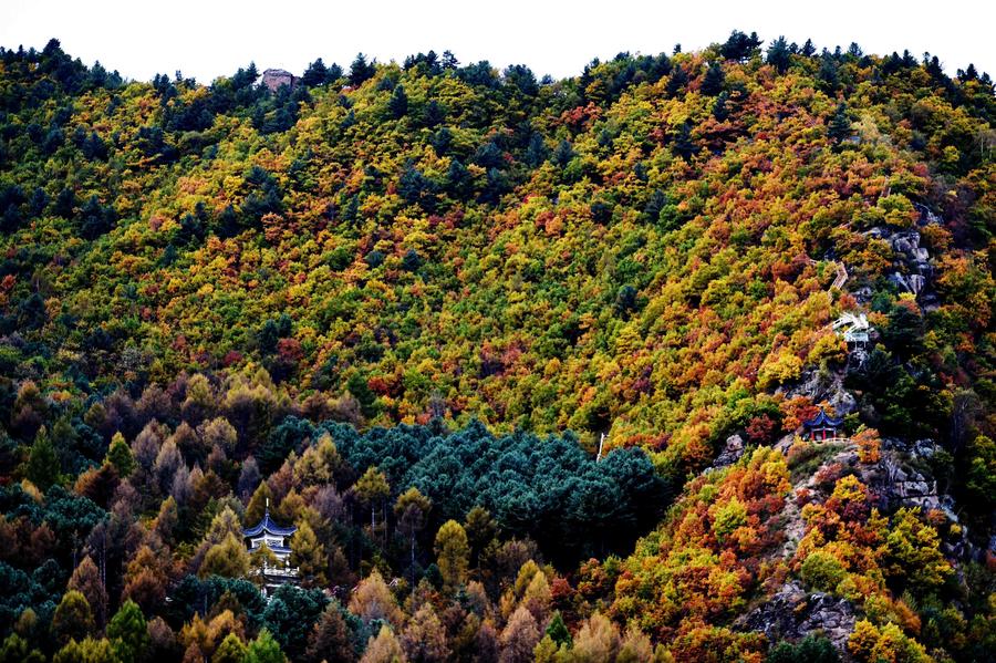 Autumn scenery in Yichun, Heilongjiang province