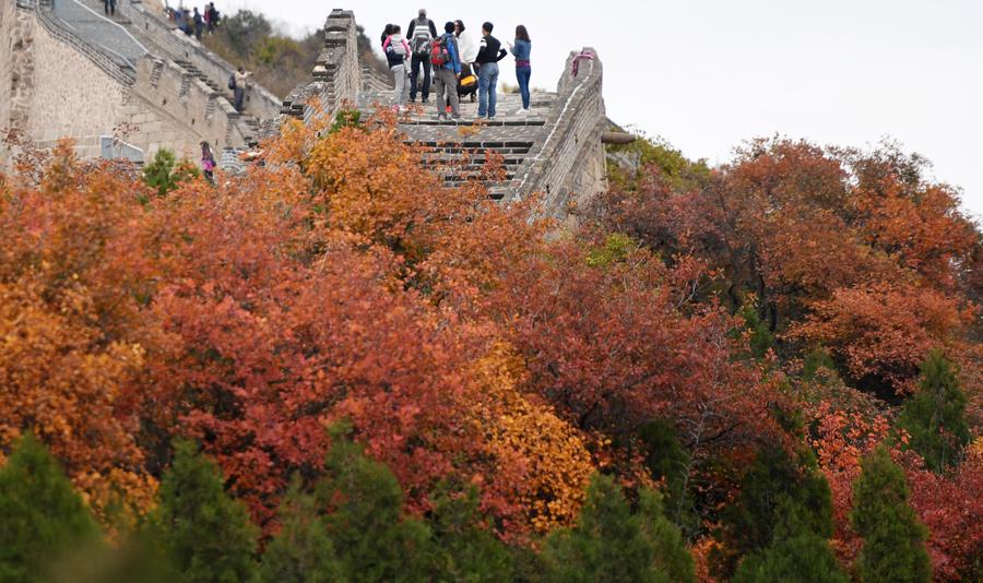 Tourists visit Badaling National Forest Park in Beijing