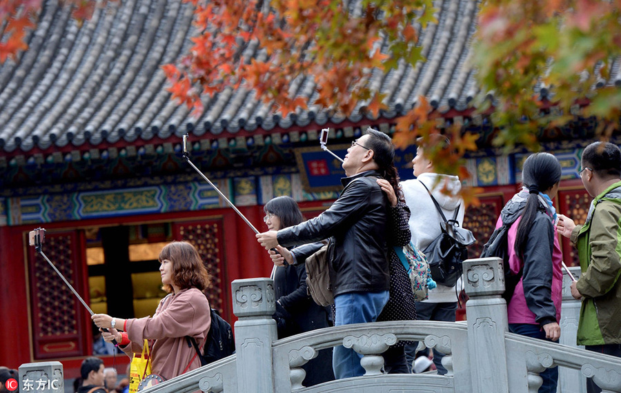 Red leaves in Fragrant Hills bring seasonal beauty to nature lovers