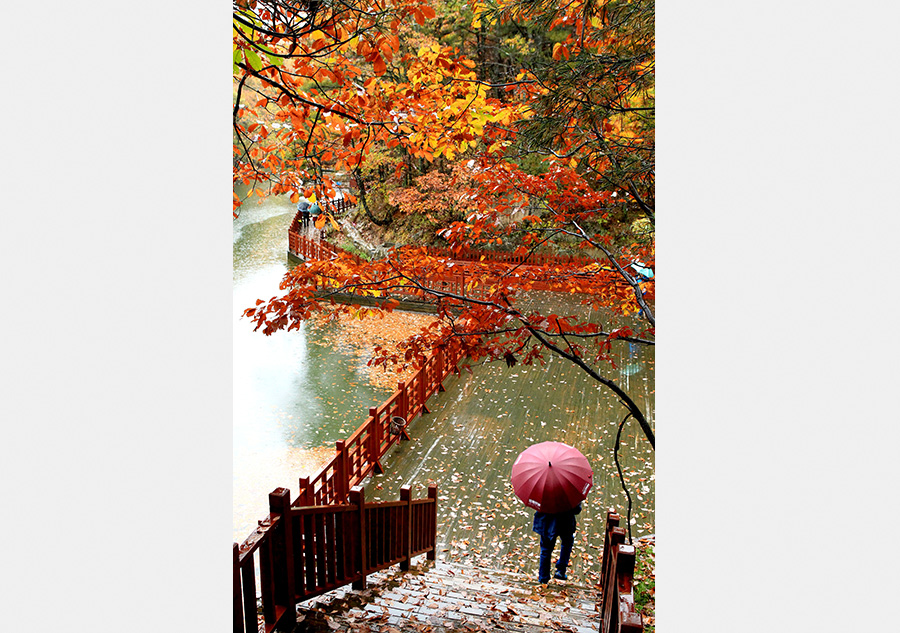 Autumn colors in Baiyunshan scenic area in Henan