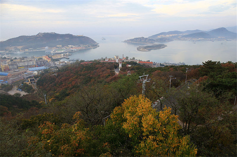 Fabulous autumn foliage in Dalian