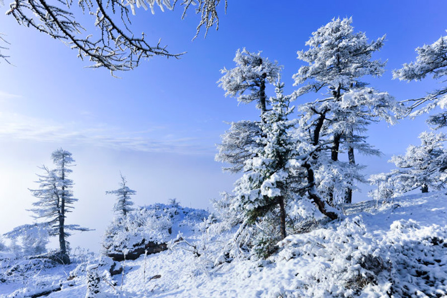 Serene scenery on snowy Luya Mountain