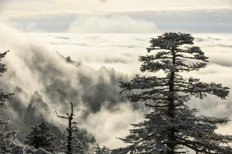 Serene scenery on snowy Luya Mountain