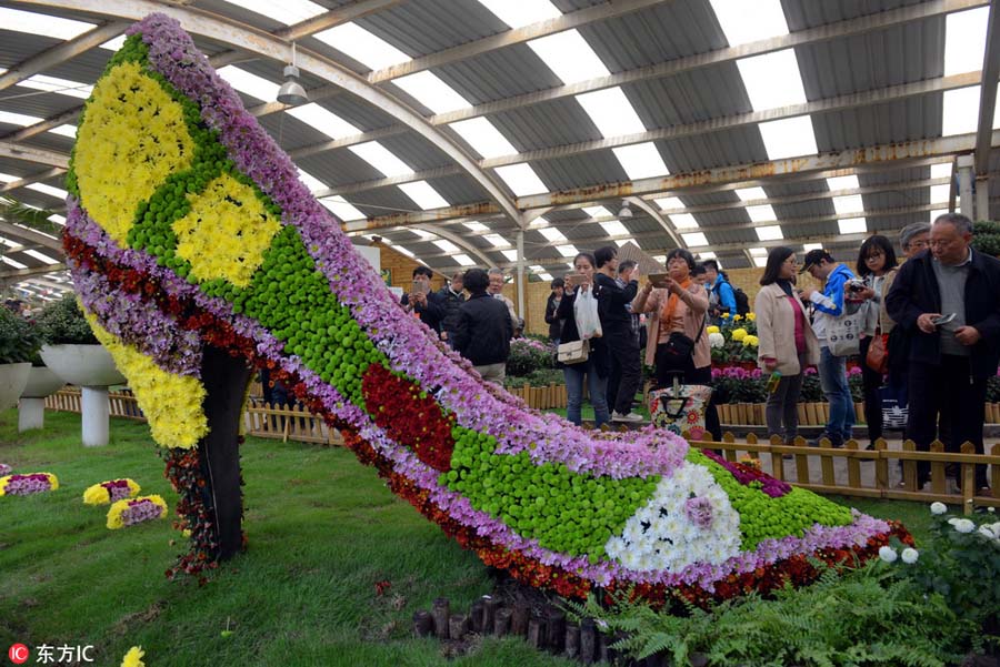 900 types of chrysanthemum on show in Shanghai