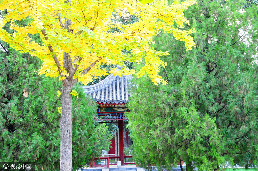 10 best places to enjoy golden foliage in China