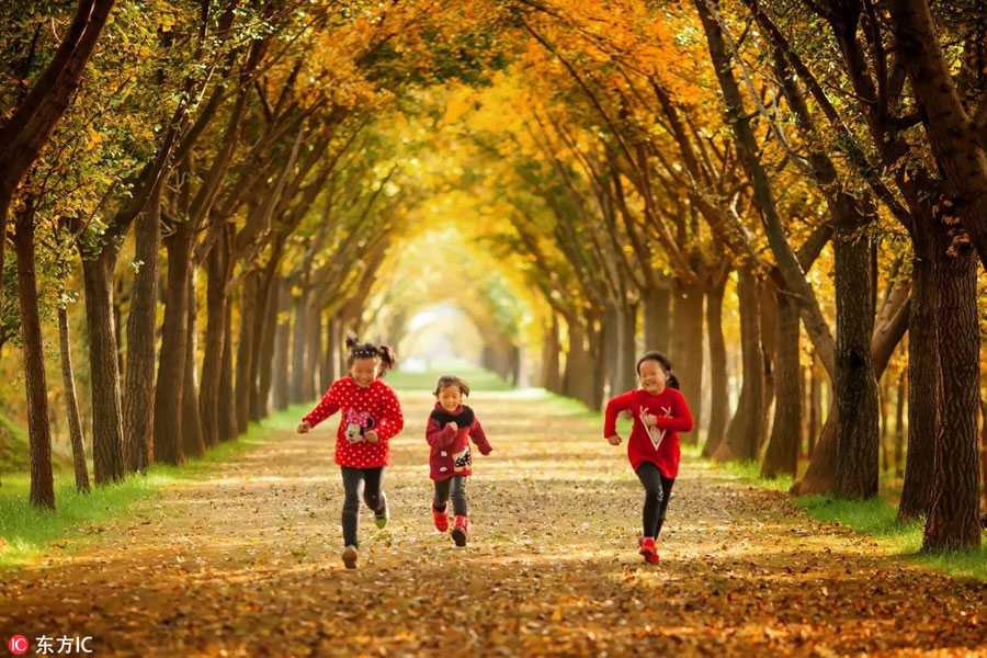 10 best places to enjoy golden foliage in China