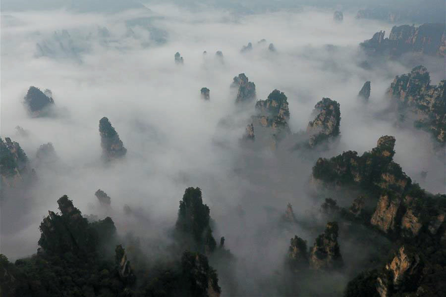 Scenery of sea of clouds in Zhangjiajie